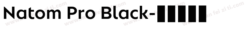 Natom Pro Black字体转换